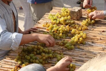 Escaldà de la pansa a Jesús Pobre