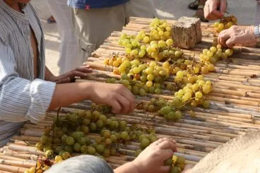 Escaldà de la pansa a Jesús Pobre
