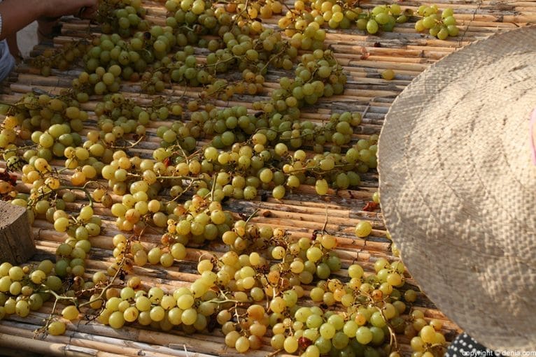 Escaldà de la pansa a Jesús Pobre