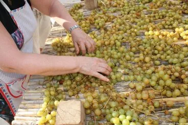 Escaldà de la pansa a Jesús Pobre