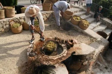 059 Escaldà de la pansa a Jesús Pobre