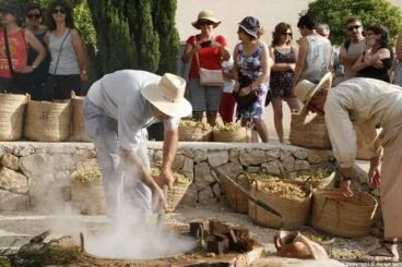 Escaldà de la pansa a Jesús Pobre
