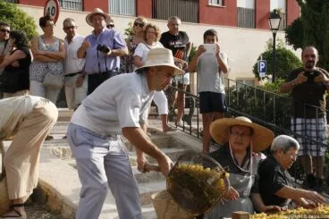 09 Escaldà de la pansa a Jesús Pobre