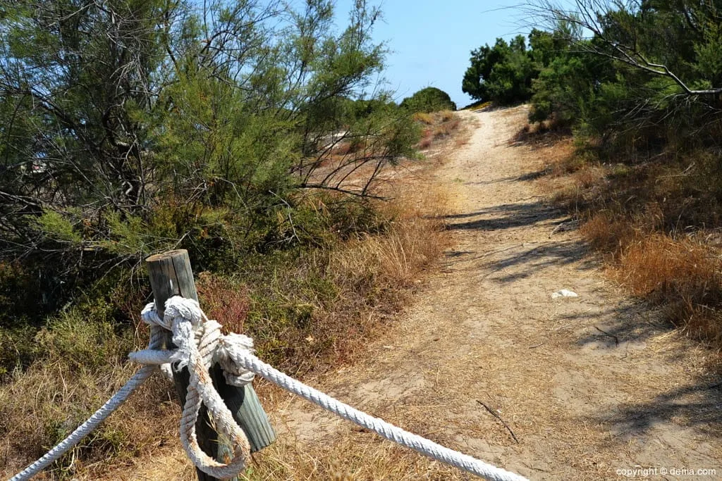 Playa Les Deveses en Dénia: la nueva joya de arena fina (Guía 2026) 17 Imagen: Nuevo acceso a la renovada Playa Les Deveses en Dénia