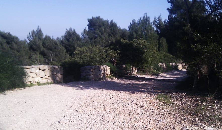 Camino de la colonia