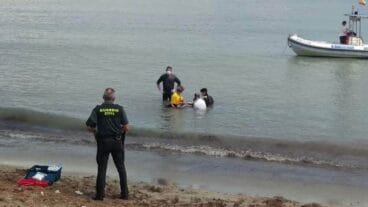 Delfín muerto en Dénia