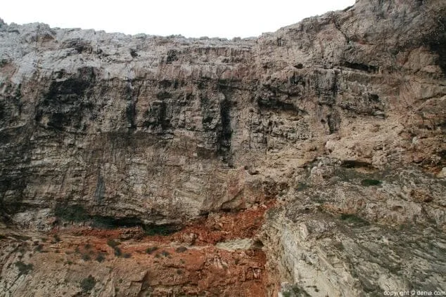 La alta pared donde hay mucha avifauna marina