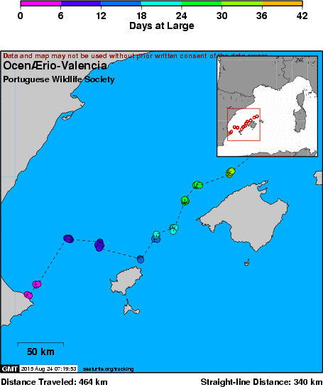 Mapa de la localización actual de la Tortuga Diana