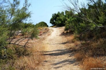 Playa arena Dénia – Les Deveses