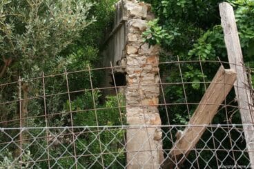 Restos del muro que envolvia la fábrica 2