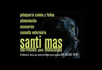 Santi Mas serveis mascotes