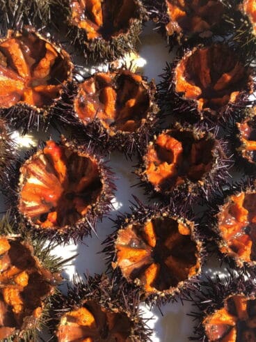 Erizos Restaurante Balandros