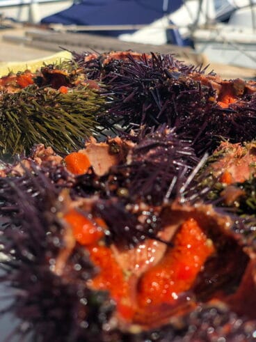 Erizos Restaurante Balandros