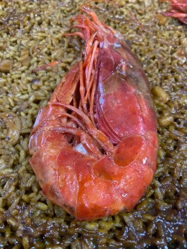 Exquisitas gambas – Restaurante Balandros