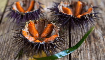 Platos de cocina marinera de alta escuela en Denia
