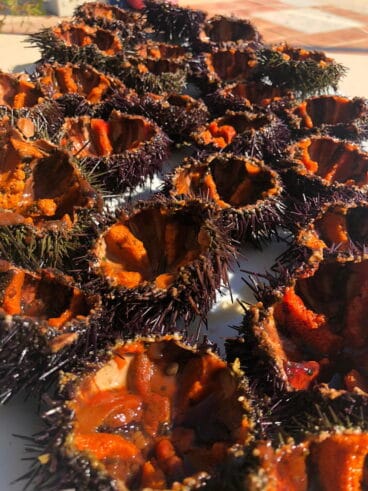 Restaurante Balandros erizos