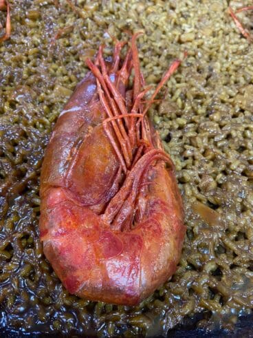 Sabrosa gamba – Restaurante Balandros