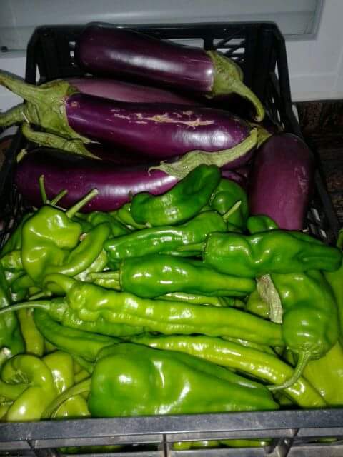 FB IMG 1441361987938