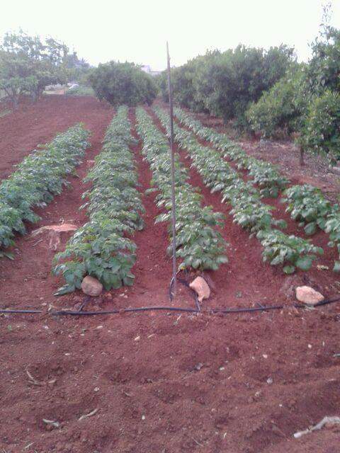 FB IMG 1441362085942