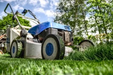 Mantenimiento jardines