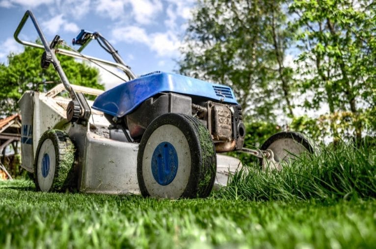 Mantenimiento jardines