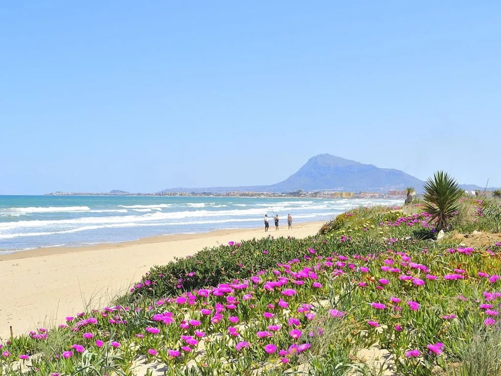 Dénia impulsa un estudio para calcular la huella de carbono en sus playas 1 Playa de Dénia