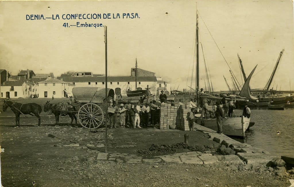 Postal carga pansa puerto