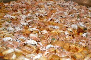 Cena Benéfica Ludai – cena