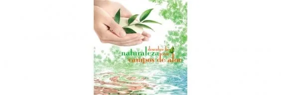 Campos de Aloe