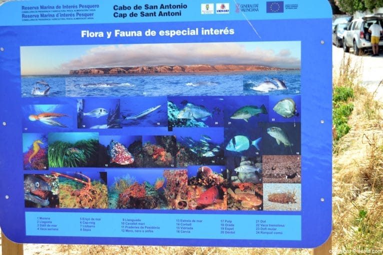 Cartel informativo reserva marina cabo San Antonio