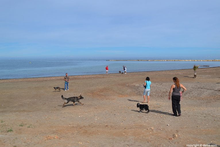 Ciudadanos reclamando una playa para perros en Dénia