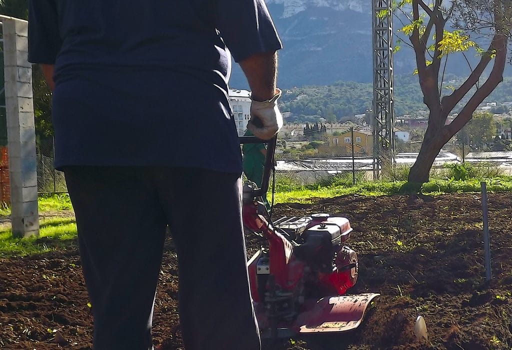 Taller de jardinería para personas con discapacidad en CREAMA