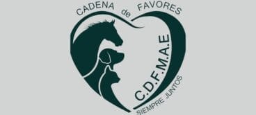 Cadena de favores mundo animal España