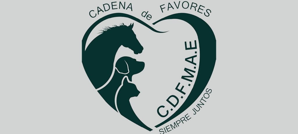 Voluntarios amantes de los animales se unen al proyecto 'Cadena de favores Mundo Animal España' 1 Cadena de favores mundo animal España