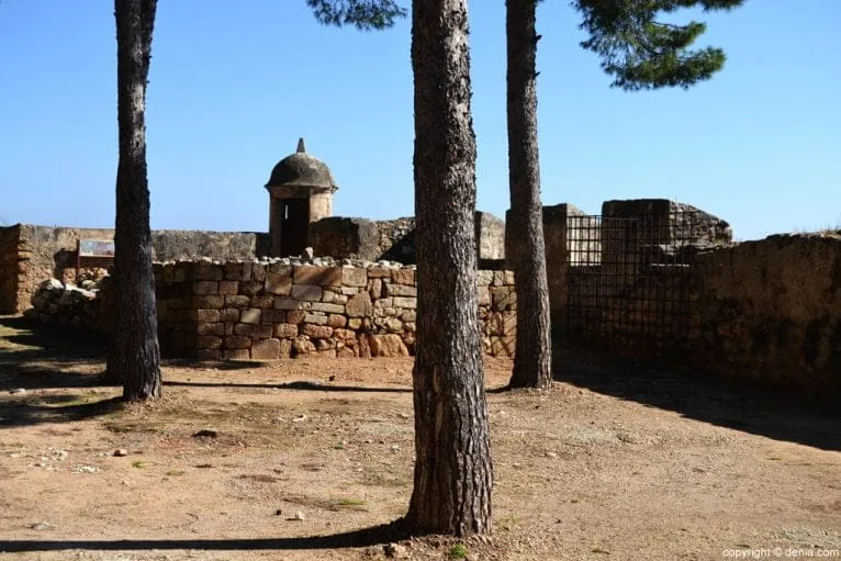 Castillo de Dénia - pinada