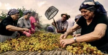 Elaboració de la pansa