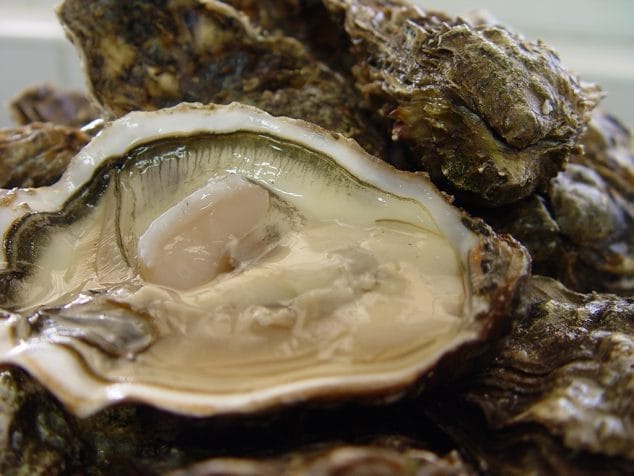 Disfruta este mes de noviembre de mariscadas desde 25€ en Restaurante Voramar 3 ostras Voramar