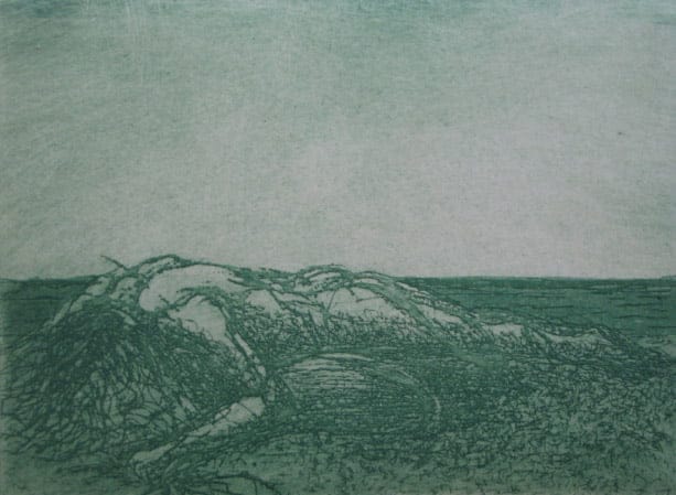 Exposición de Vicente Ribelles