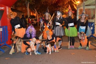 Grupo de Brujas con sus perros