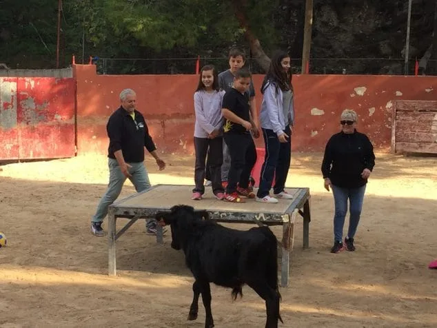 Deporte y risas en la primera capea de la falla Diana 4 Primera capea de la falla Diana