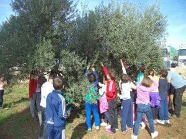 Viista de escolares al Huerto Abierto