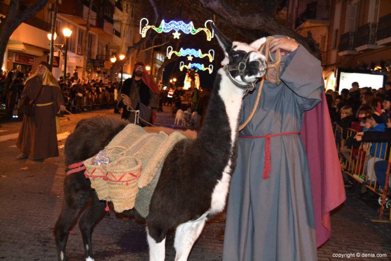 Cabalgata Reyes Magos 2015 - Llama
