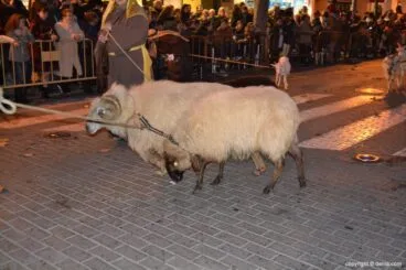 Cabalgata Reyes Magos 2015 – Cabras