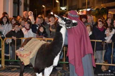 Cabalgata Reyes Magos 2015 – Llama