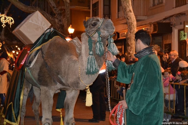 Cabalgata Dénia 2016 - Camello
