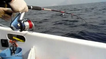 Barco pescando el pagell