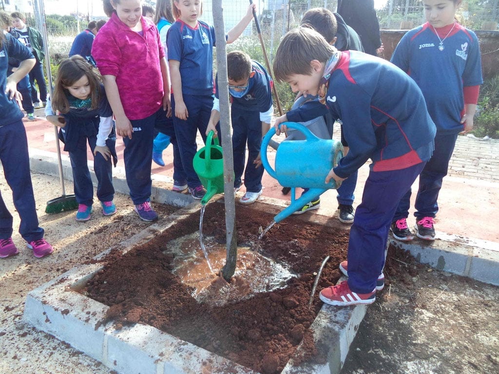 Día del Árbol Dénia