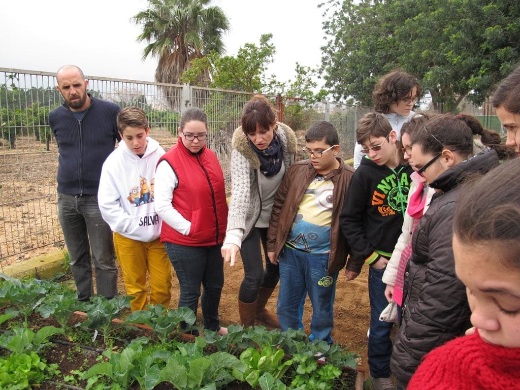 Huerto escolar del colegio Raquel Payà