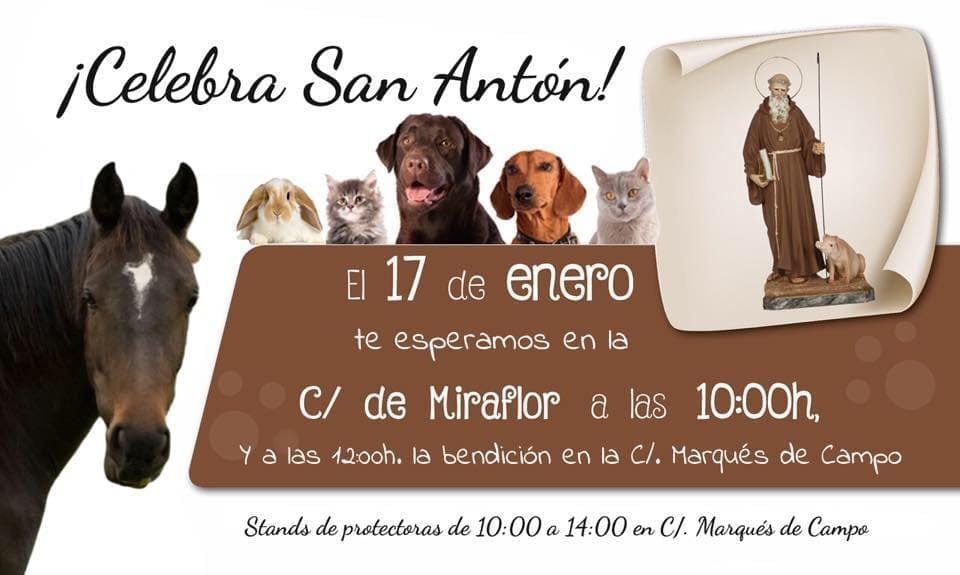 El domingo se celebra en Dénia la tradicional bendición de animales de la festividad de San Antón 1 San Antón 2016 en dénia