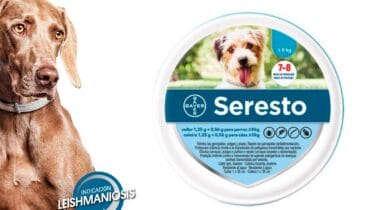 Collar seresto antiparasitario en CYNOS Clínica Veterinaria